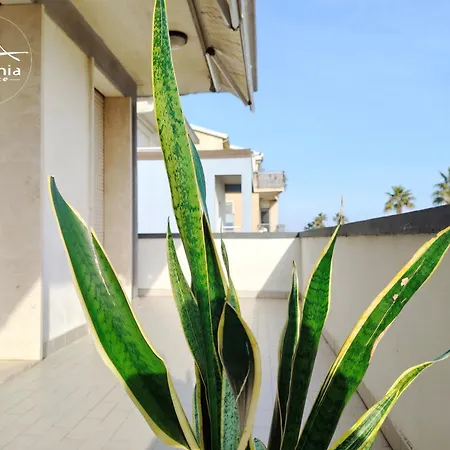 Fronte Mare Rc27 Roseto Degli Abruzzi